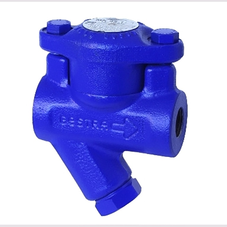 Gestra MK45/2 DN20 BSP Steam Trap